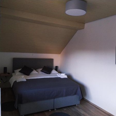 Apartment Trubarjeva33, Near Ljubljana, Free Parking Velike Lasce Kültér fotó