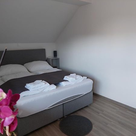 Apartment Trubarjeva33, Near Ljubljana, Free Parking Velike Lasce Kültér fotó