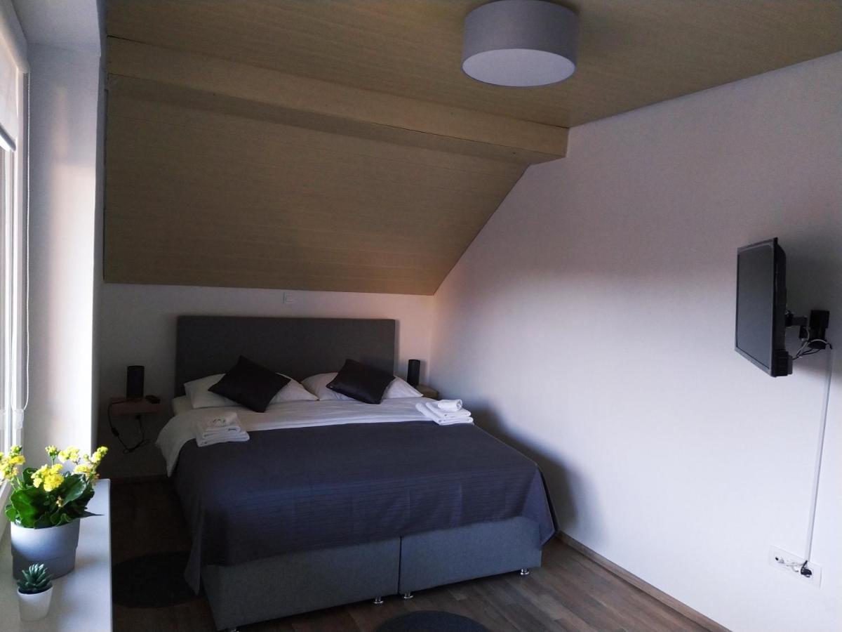 Apartment Trubarjeva33, Near Ljubljana, Free Parking Velike Lasce Kültér fotó