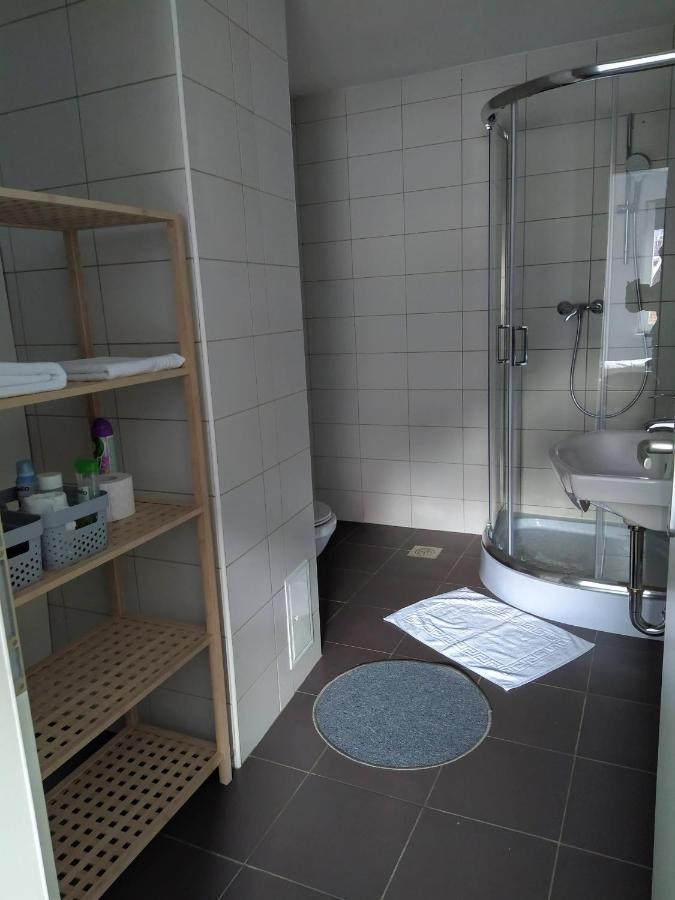 Apartment Trubarjeva33, Near Ljubljana, Free Parking Velike Lasce Kültér fotó