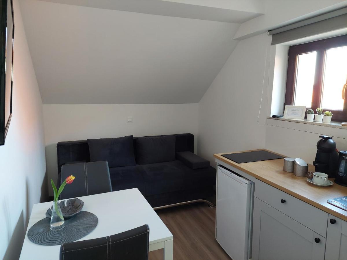 Apartment Trubarjeva33, Near Ljubljana, Free Parking Velike Lasce Kültér fotó