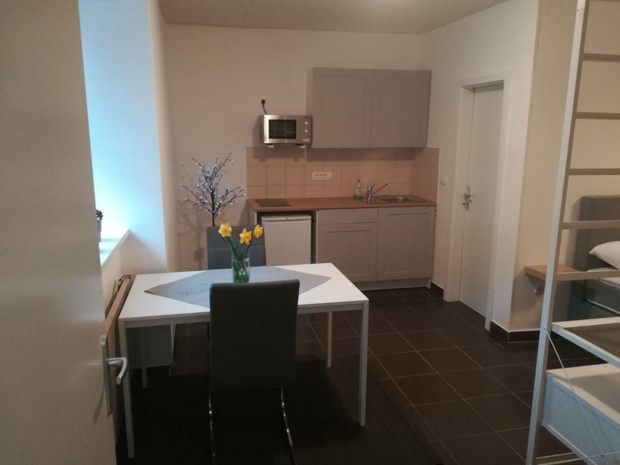 Apartment Trubarjeva33, Near Ljubljana, Free Parking Velike Lasce Kültér fotó